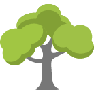 Cumming Tree Removal Service
