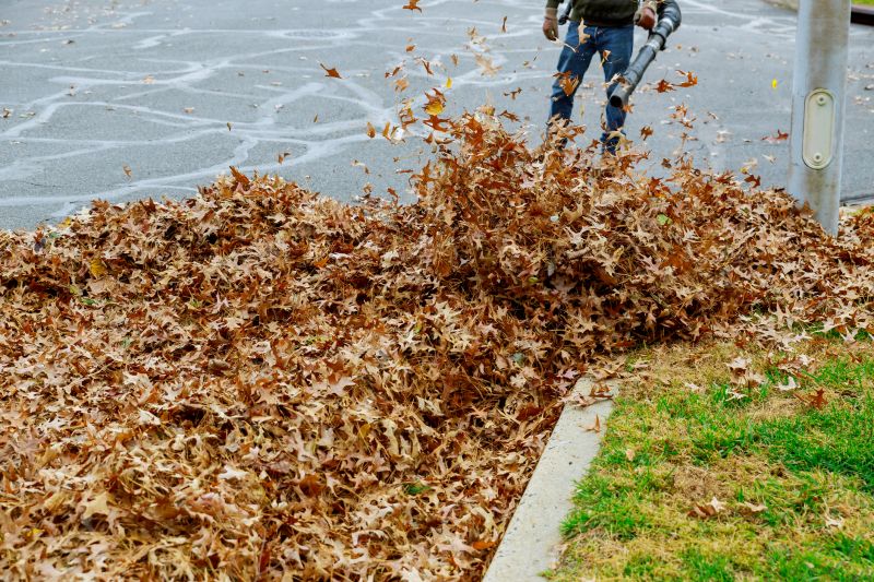 Leaf Blowing Strategies